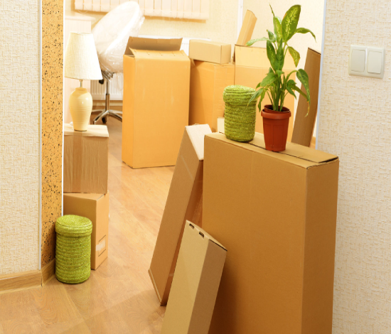 Hard Time Maintaining Packers & Movers Details?