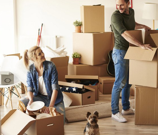 Tax Return Filing For Packers And Movers Company